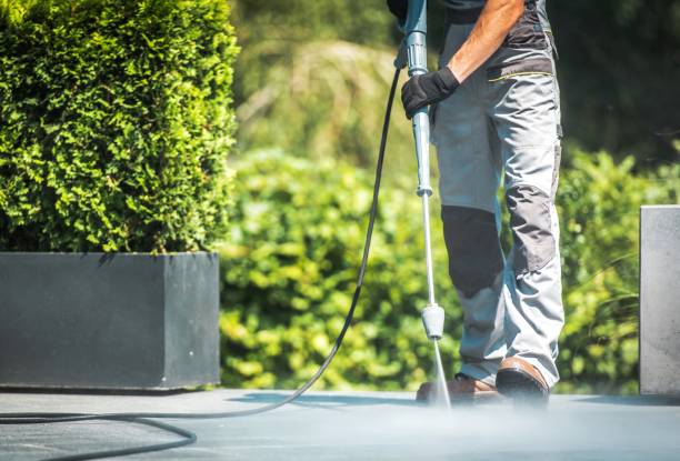 Best Roof Washing  in Zephyrhills South, FL