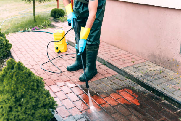 Best Building Exterior Washing  in Zephyrhills South, FL